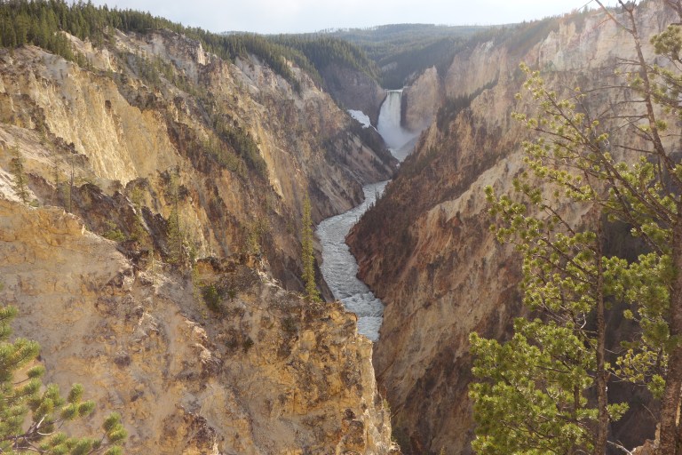 The Grand Canyon of Yellowstone